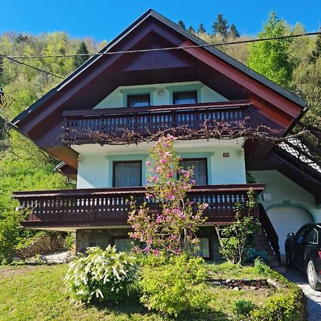 Pocitniska Hisa Novak Villa Bohinji-tó Kültér fotó