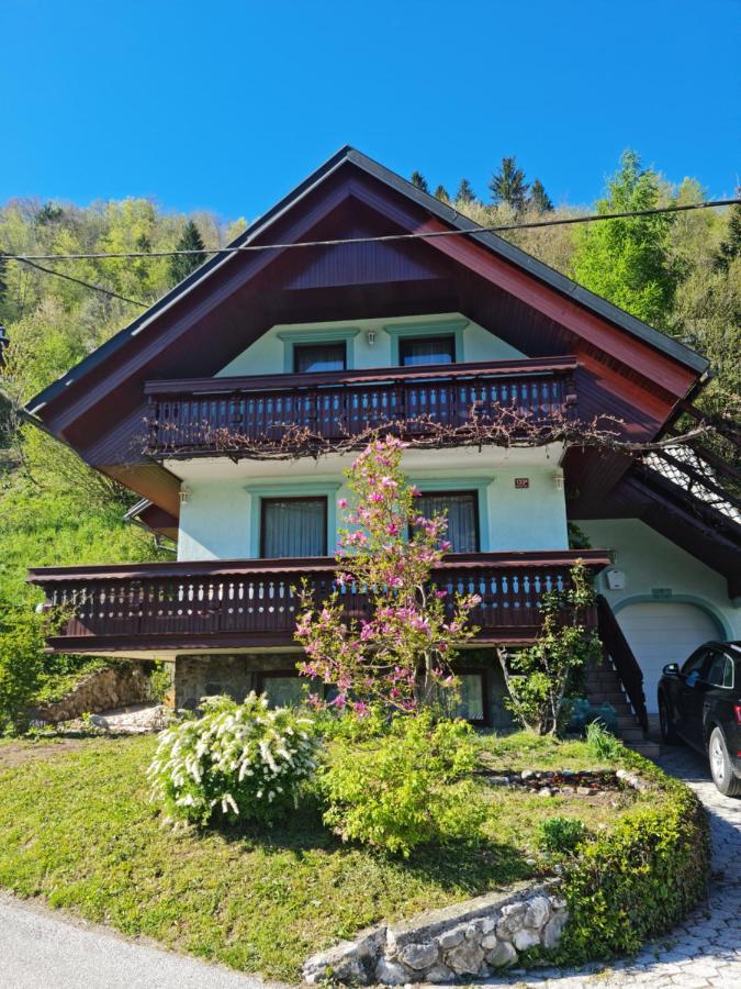 Pocitniska Hisa Novak Villa Bohinji-tó Kültér fotó