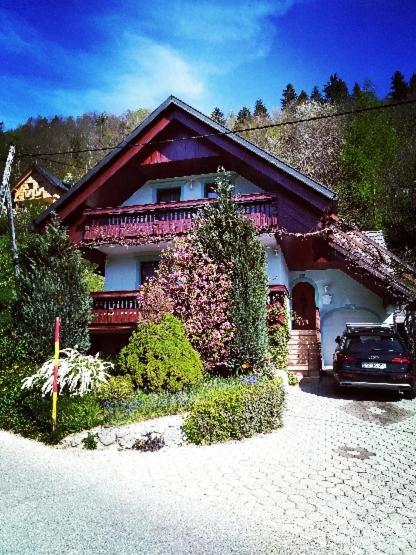 Pocitniska Hisa Novak Villa Bohinji-tó Kültér fotó